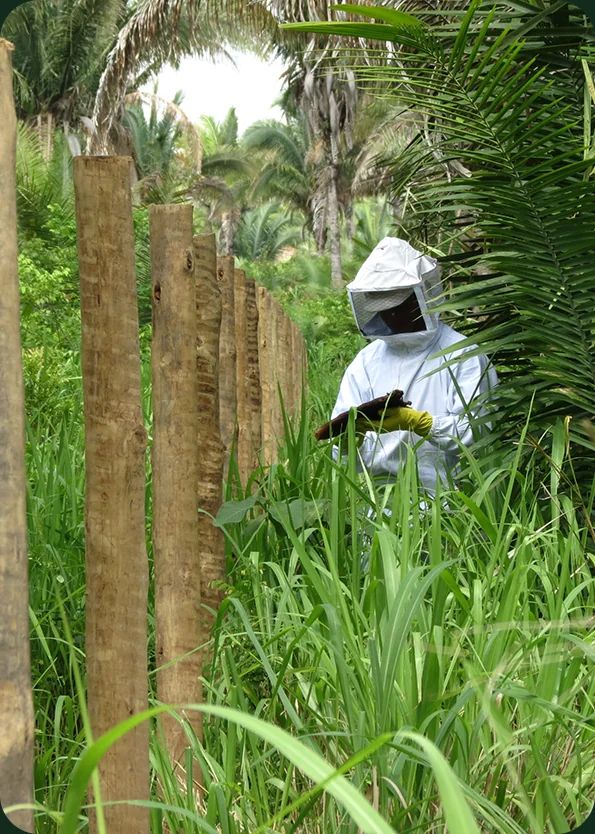 Especialista em traje de proteção realiza manejo de fauna em meio à vegetação