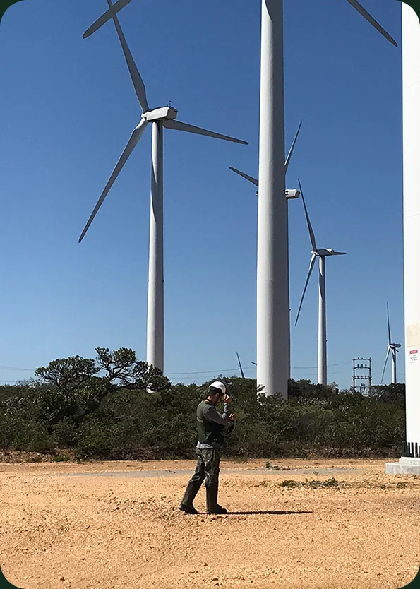 Técnico realiza monitoramento ambiental em parque eólico
